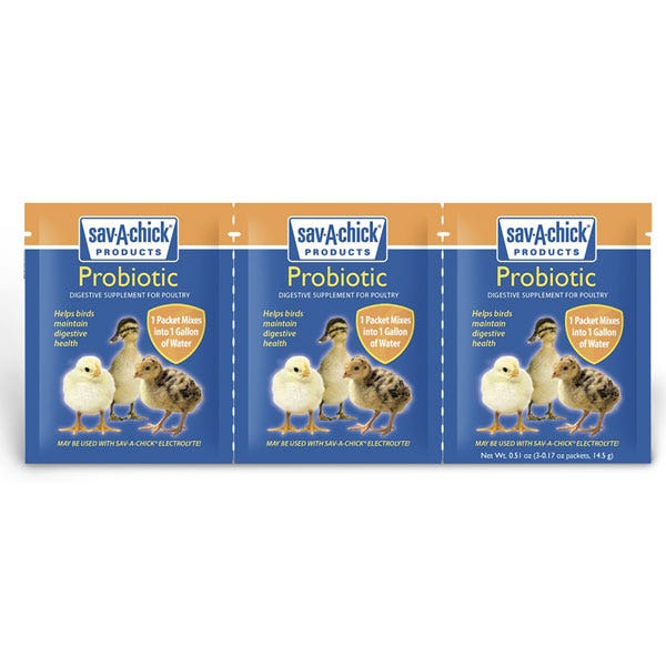 C31562-Sav-A-Chick® Probiotic Supplement