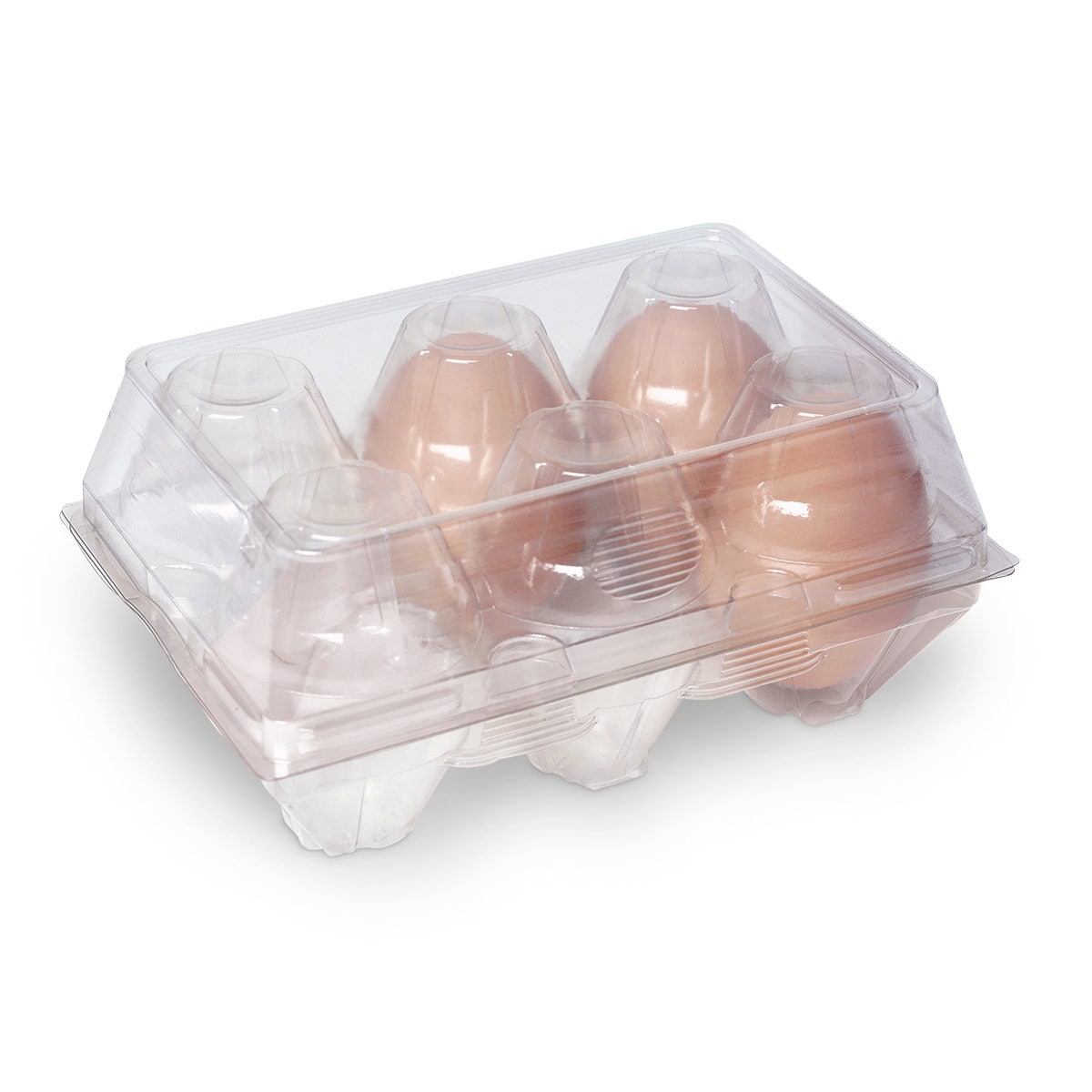C32583-See-Through Plastic 6-Egg Carton - Pkg. of 200