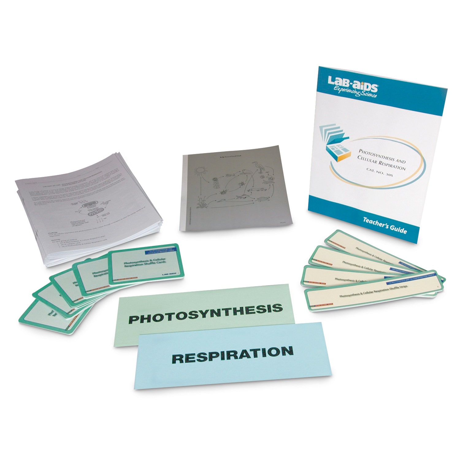 C33050-Photosynthesis and Cellular Respiration