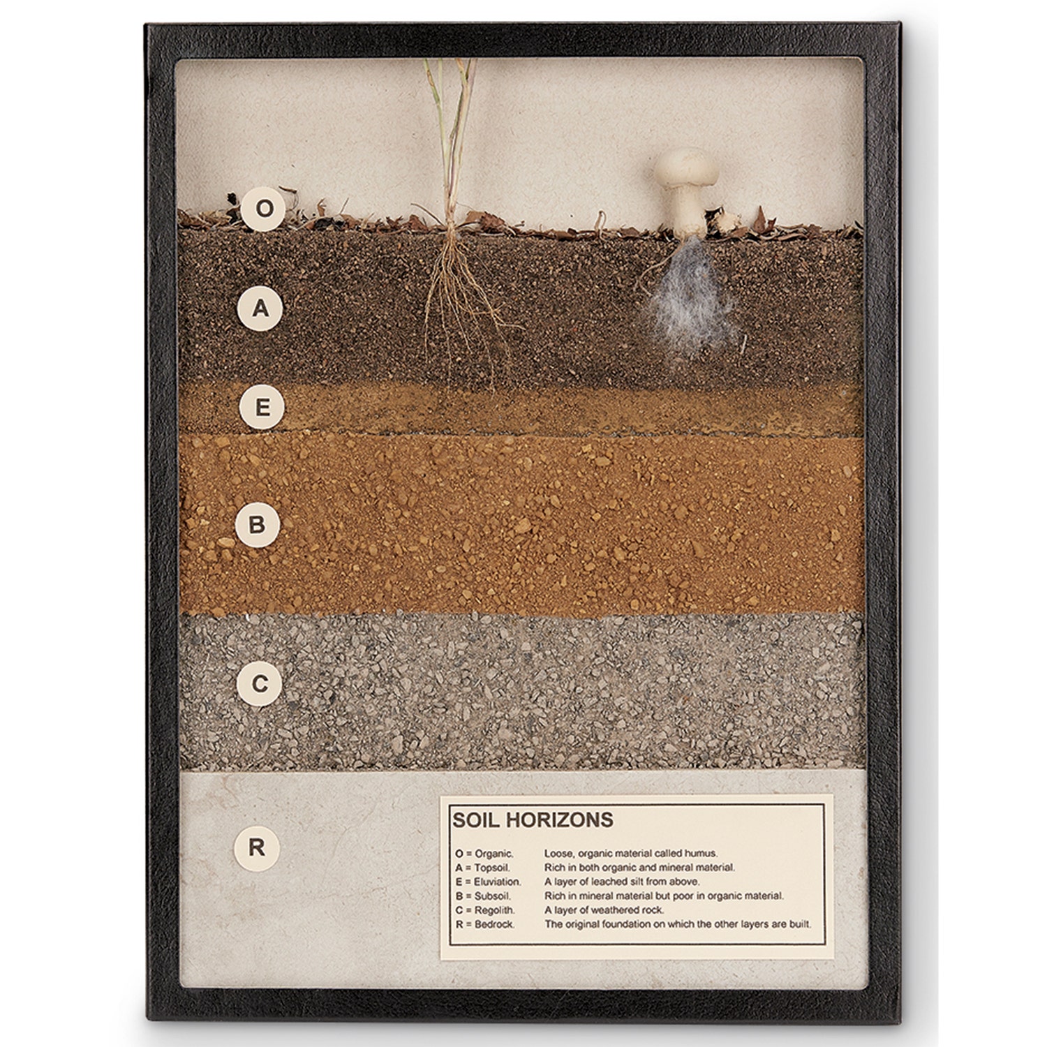 C34457-Soil Horizons