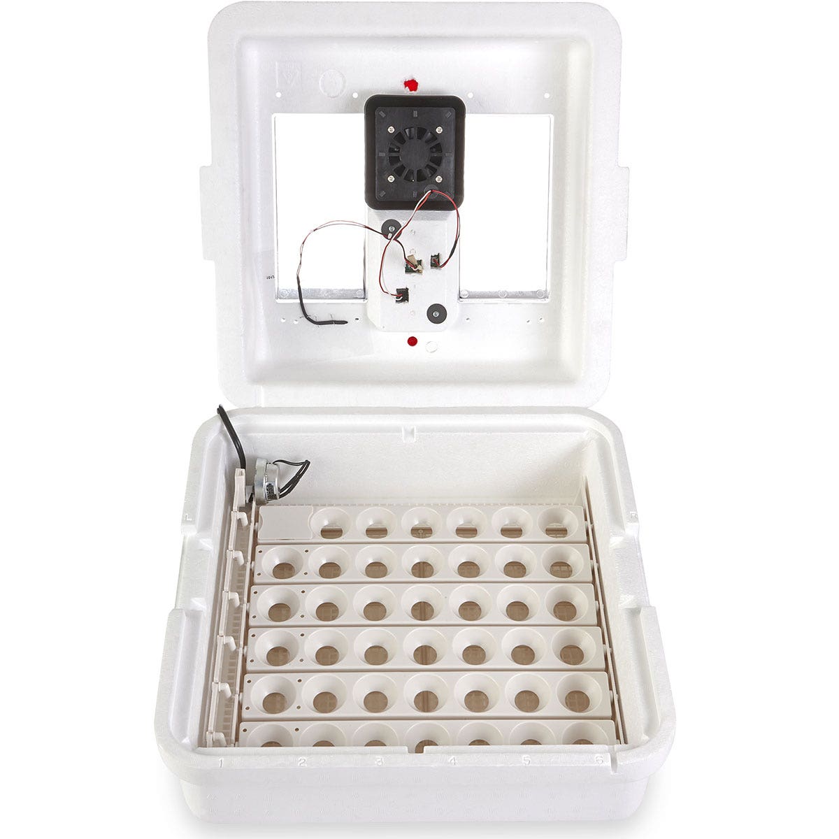 C34826-Little Giant® Deluxe Circulated-Air Incubator with Automatic Egg Turner - 18 in. L x 18 in. W x 9 in. H