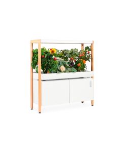 The Rise Garden Hydroponic System - Single Tier
