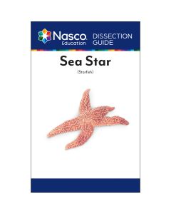 Sea Star (Starfish) Dissection Guide