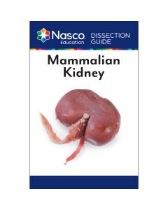 Student Dissection Guides - Kidney