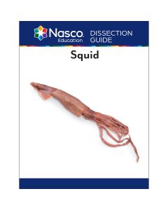 Nasco Student Squid Dissection Guide