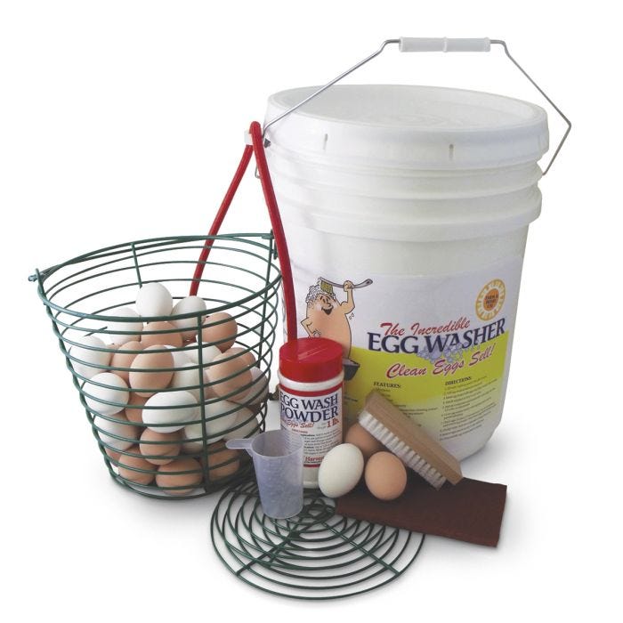 Best Egg Washer To Help You Clean Eggs Quick and Easy (2023)