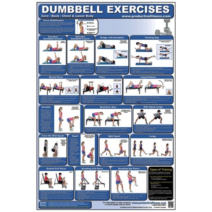 Back Workout 24 X 36 Laminated [Misc.] : : Sports