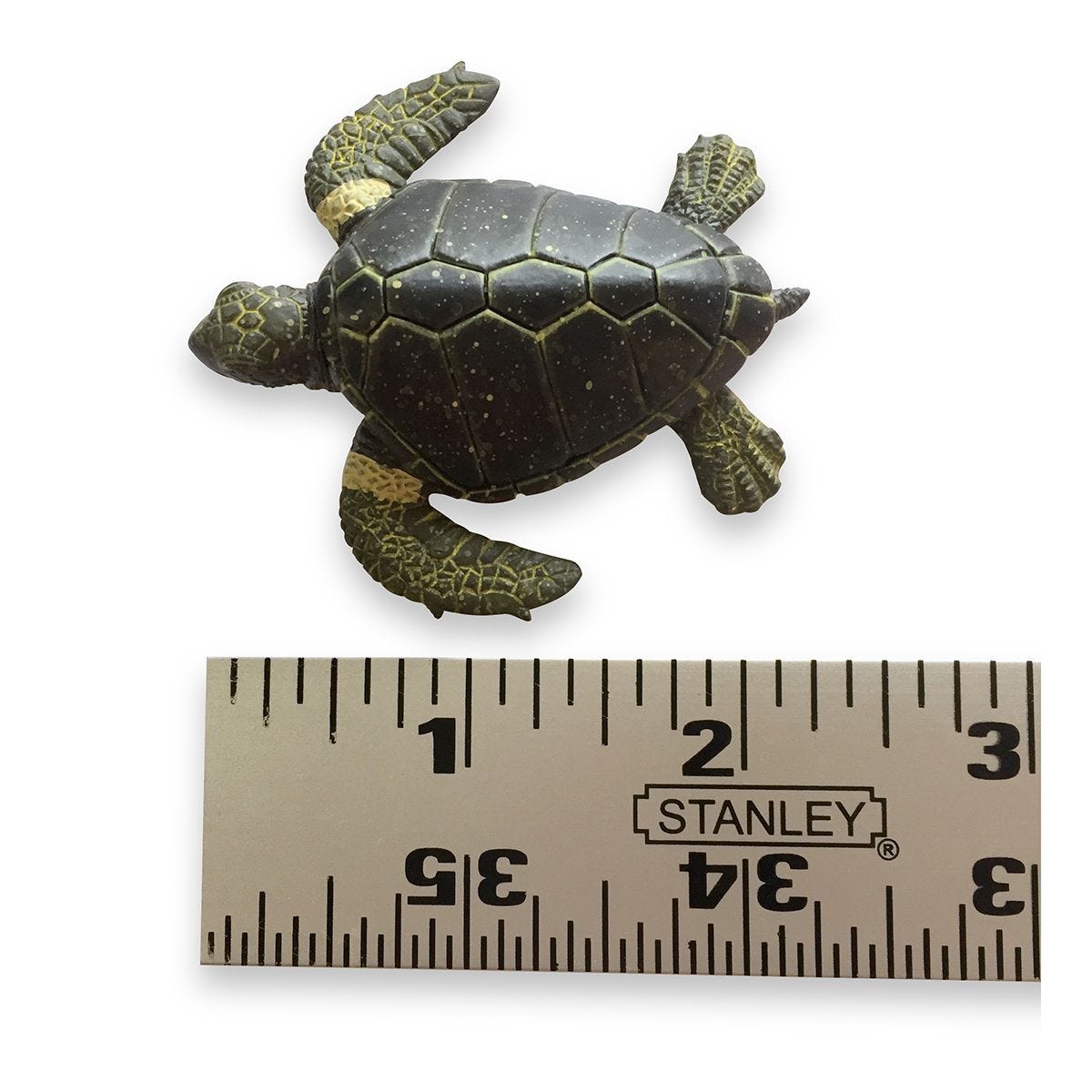 My Turtle Store  Digital Thermometer with battery for turtle tanks