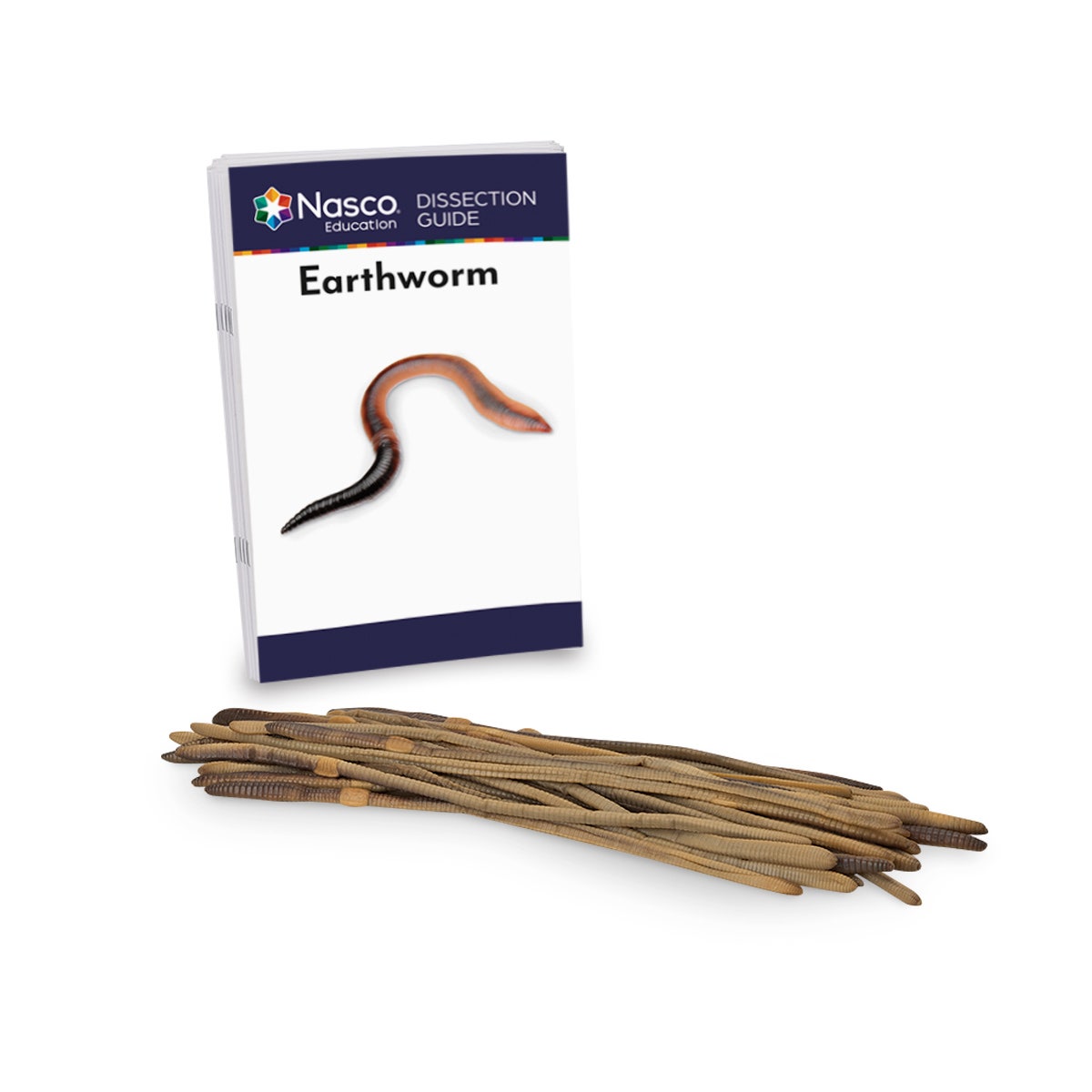 LS03719-NASCOGuard®, Earthworms Classroom Pack Special, Preserved