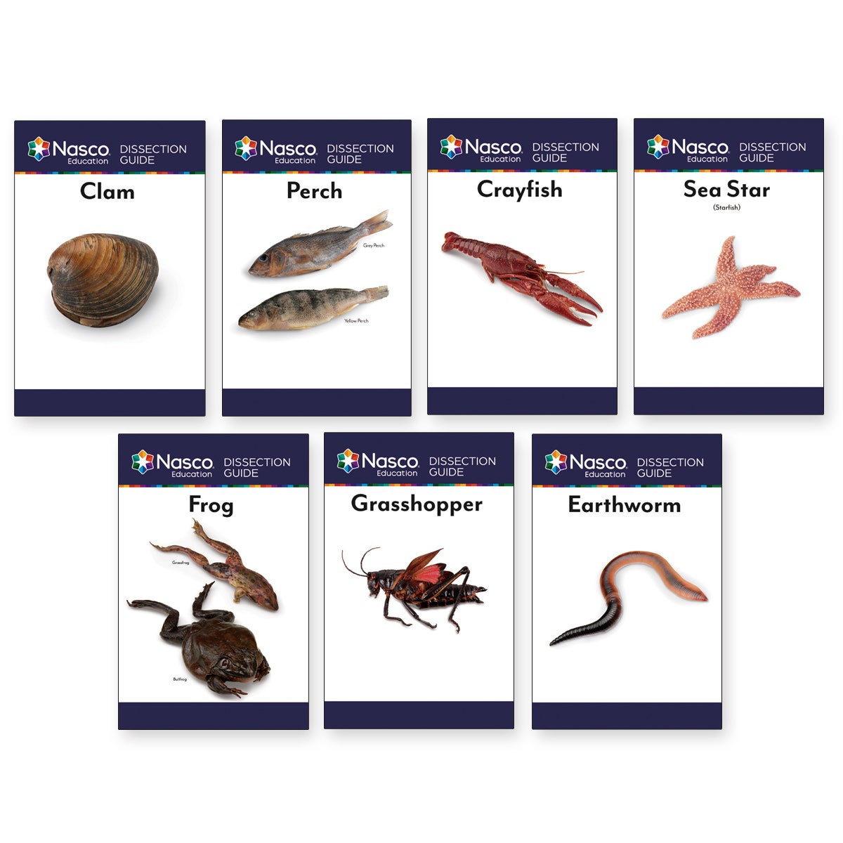 SB23166-Economy Set of Animal Dissection Guides
