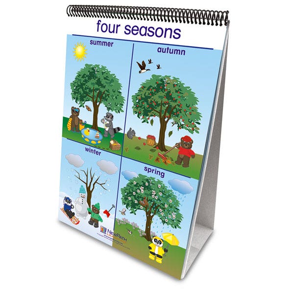 EL11197-NewPath Learning® Early Childhood Science Readiness Flip Chart - Weather and Sky