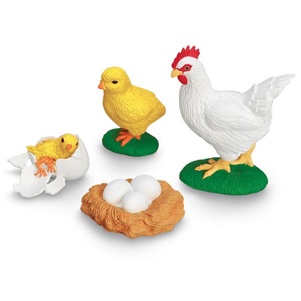 EL11209-Incredible Creatures® Set - Life Cycle of a Chicken