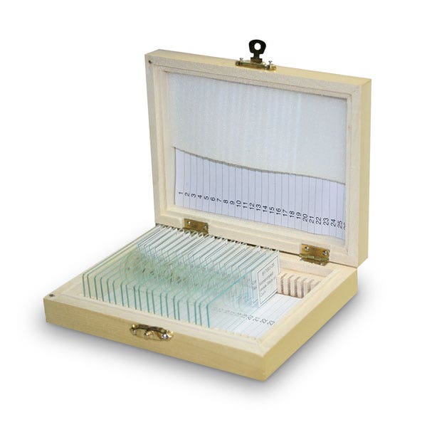 EL12761-Common Interest Prepared Glass Slide Set