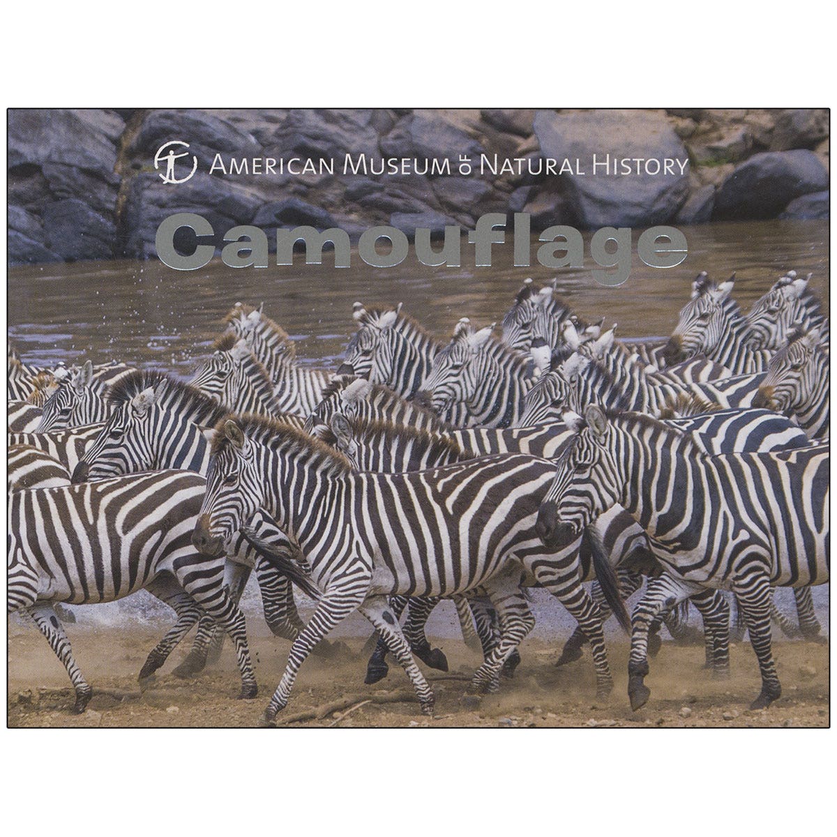 EL15600-Camouflage Board Book