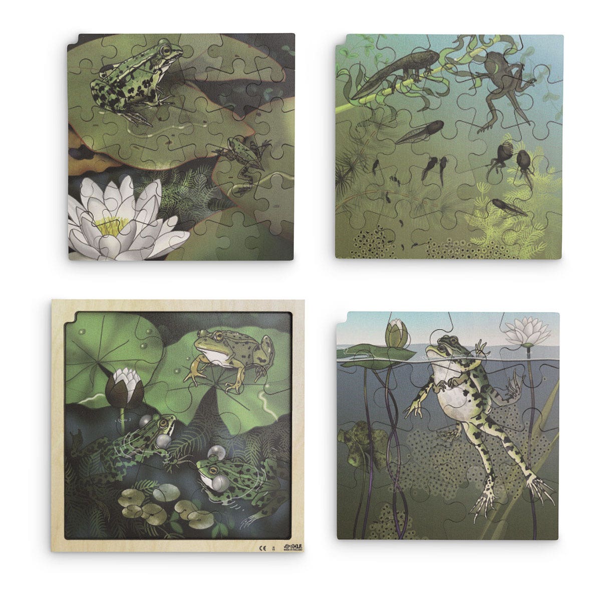 EL16778-Frog Life Cycle 4-Layer Puzzle with App