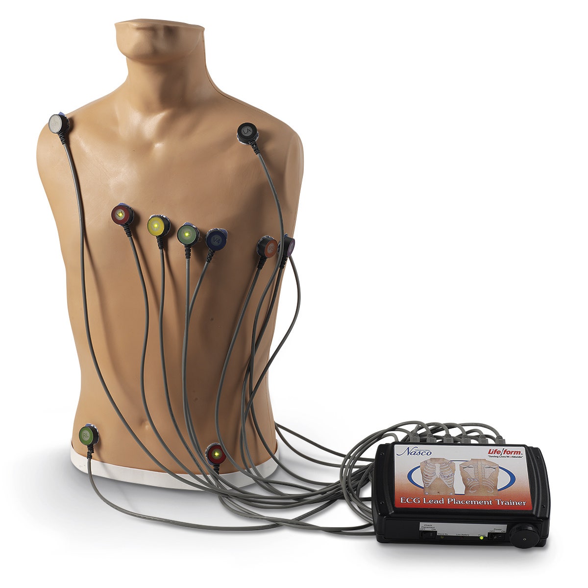 LF01300-Life/form® 15-Lead ECG Placement Trainer