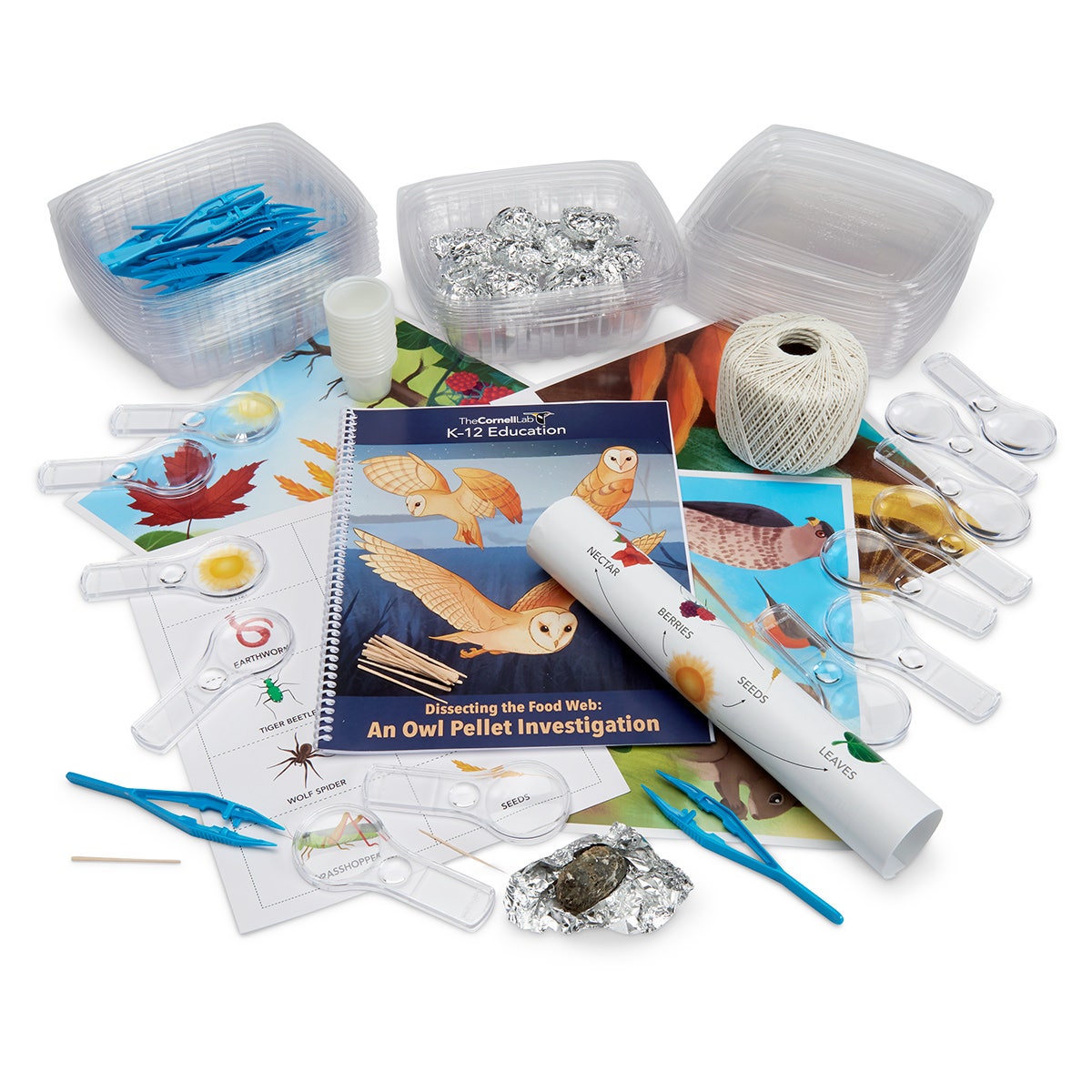 KI04423-The Cornell Lab of Ornithology K-12's Dissecting the Food Web: An Owl Pellet Investigation