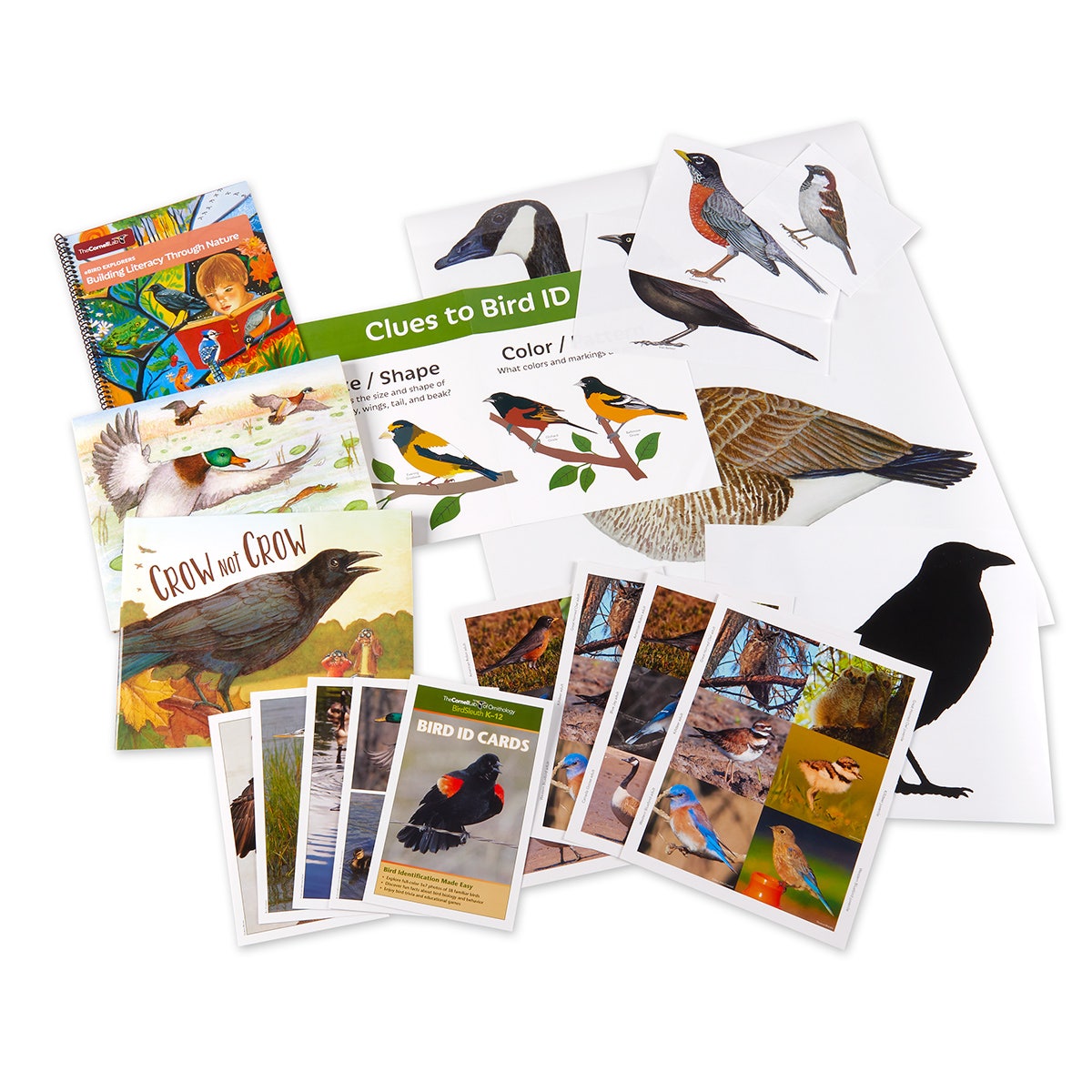 KI04896-Cornell eBird Explorers: Building Literacy Through Nature Lessons & Materials Kit, K-2