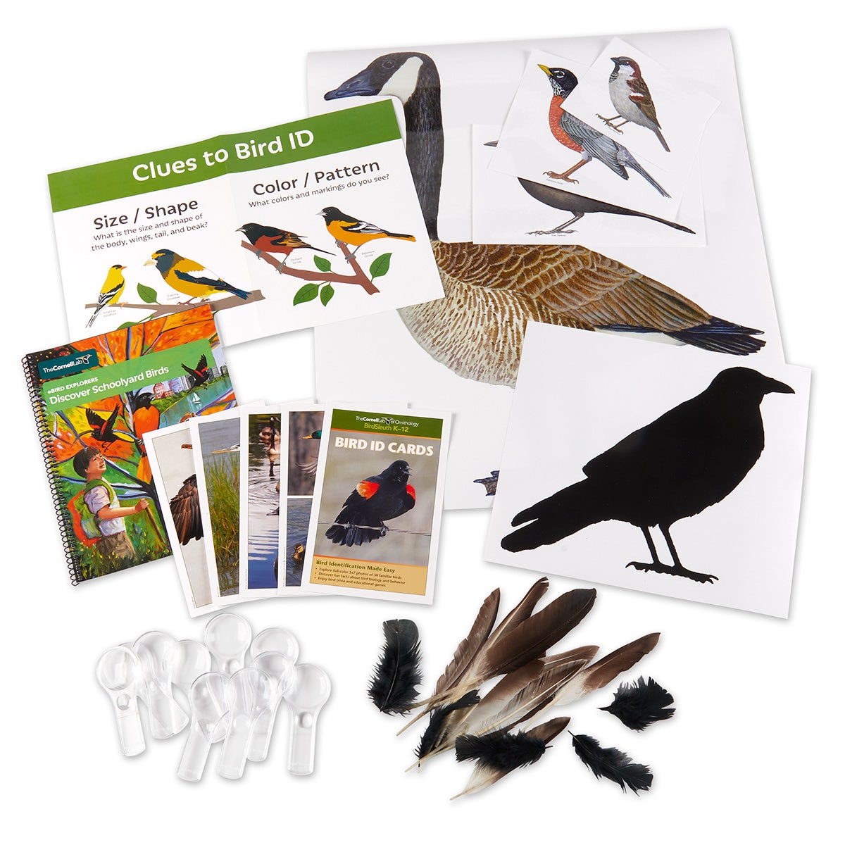KI04897-Cornell eBird Explorers: Discover Schoolyard Birds Lessons & Materials Kit, 3-5