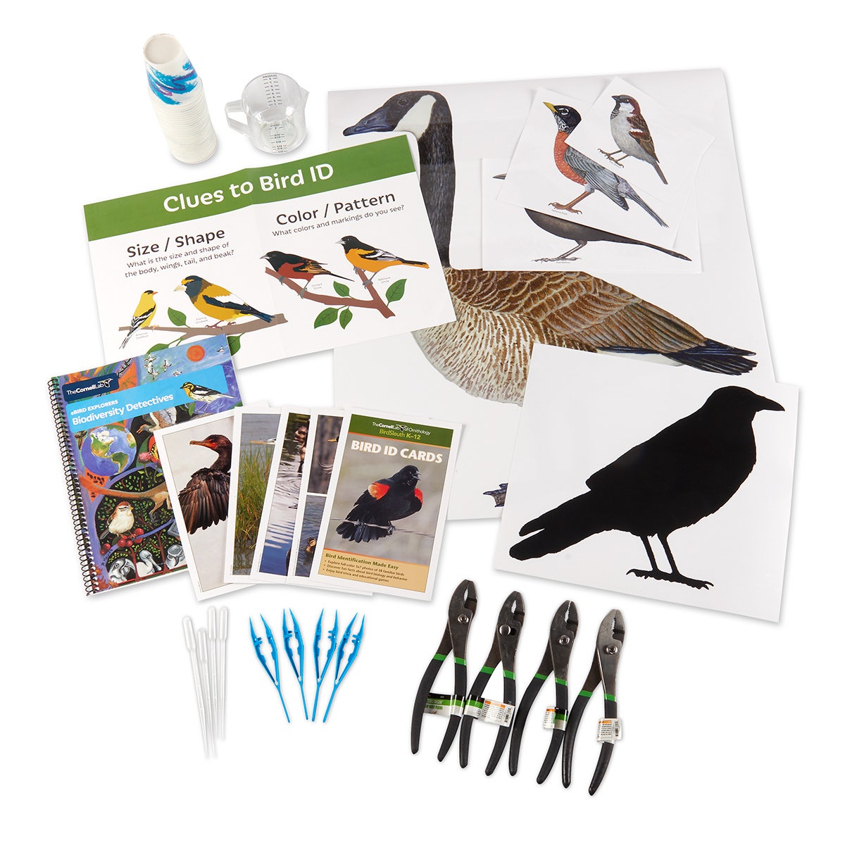 KI04898-Cornell eBird Explorers: Biodiversity Detectives Lessons & Materials Kit, 6-8
