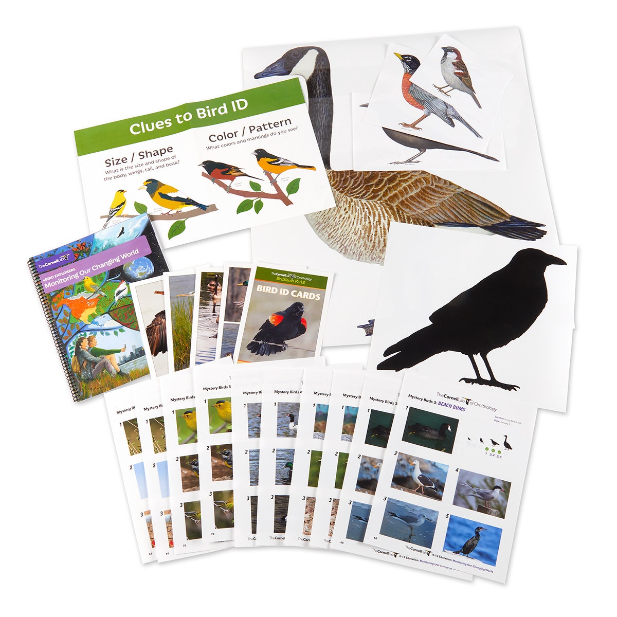 KI04899-Cornell eBird Explorers: Monitoring Our Changing World Lessons & Materials Kit, 9-12