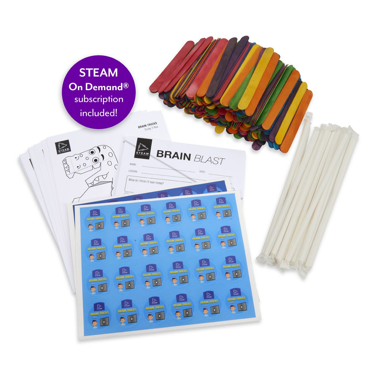 KI06817-STEAM On Demand® 3-5 Kit: Brain Tricks and DaVinci Bridge Lessons