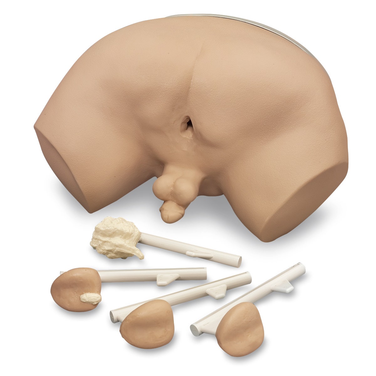 LF00901-Life/form® Prostate Examination Simulator