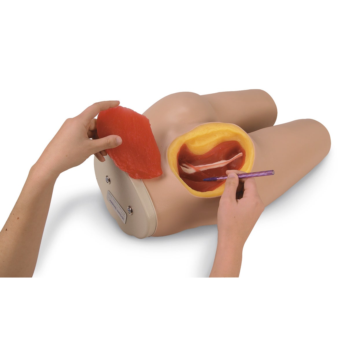 LF00961-Life/form® Intramuscular Injection Simulator