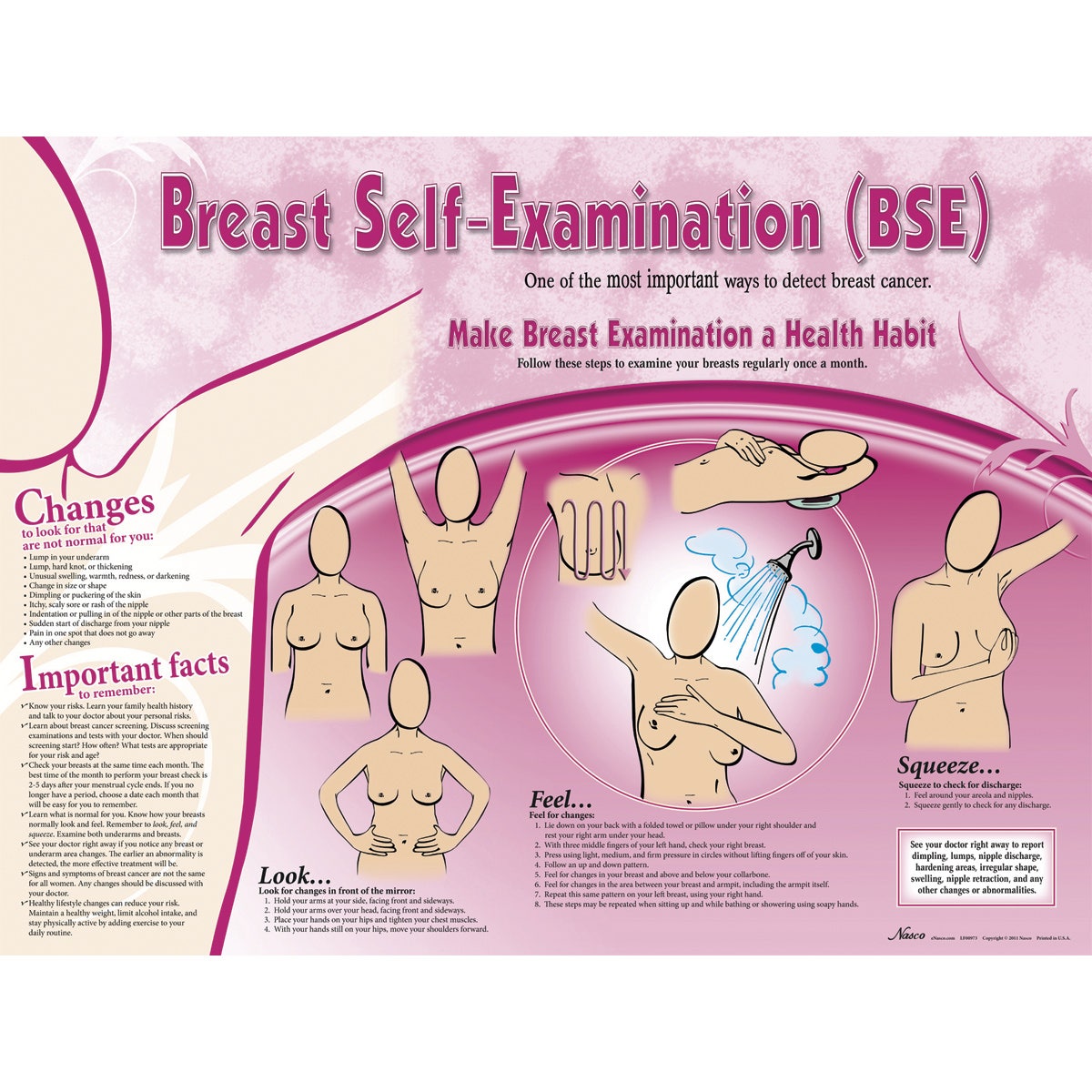 LF00973-Nasco Breast Self-Examination Poster