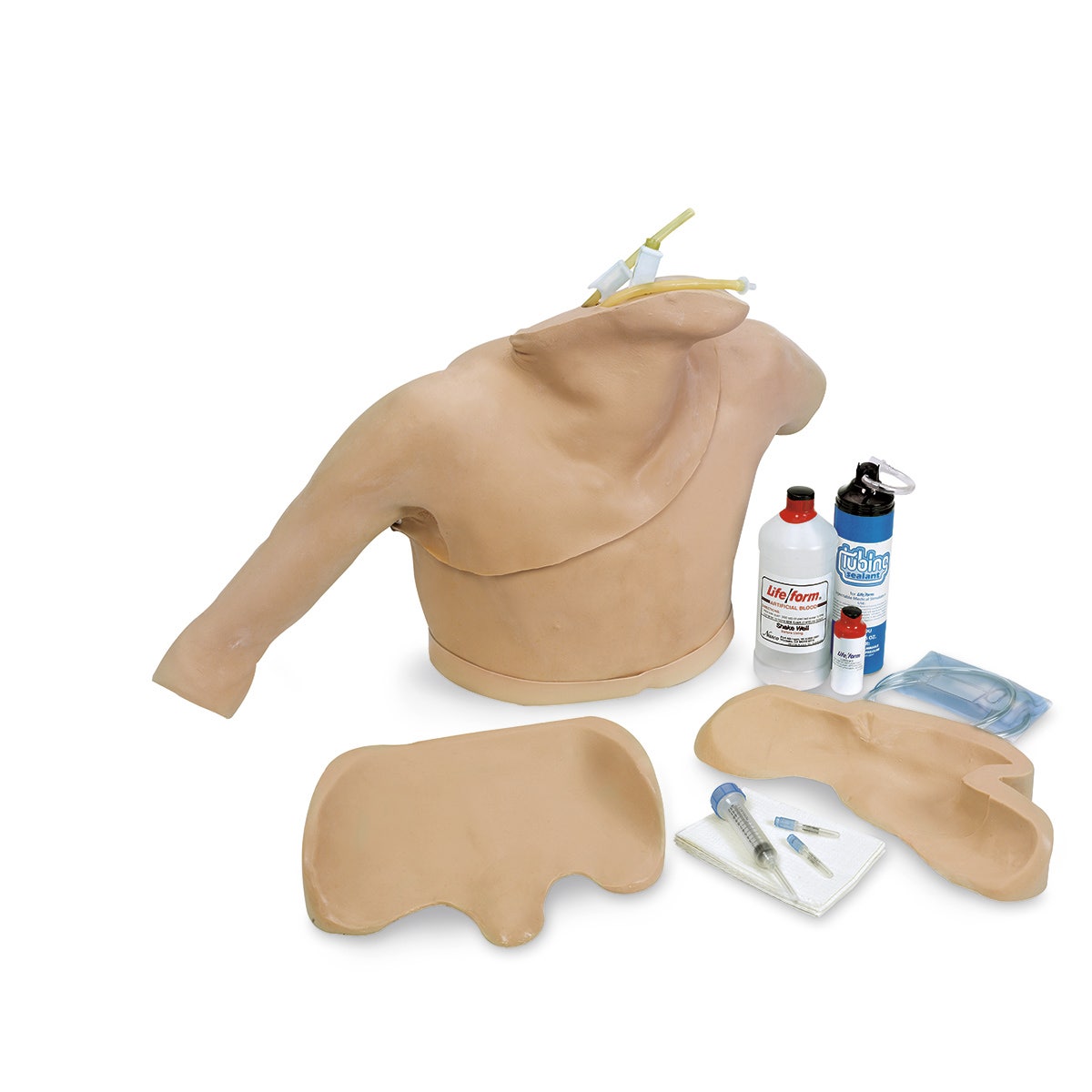 LF01012-Life/form® Heart Catheterization Simulator