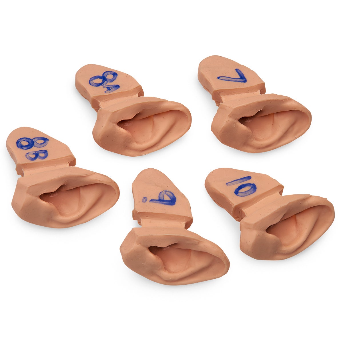 LF01020-Life/form® Ear Examination Supplementary Set of Ear Replicas for Advanced Training