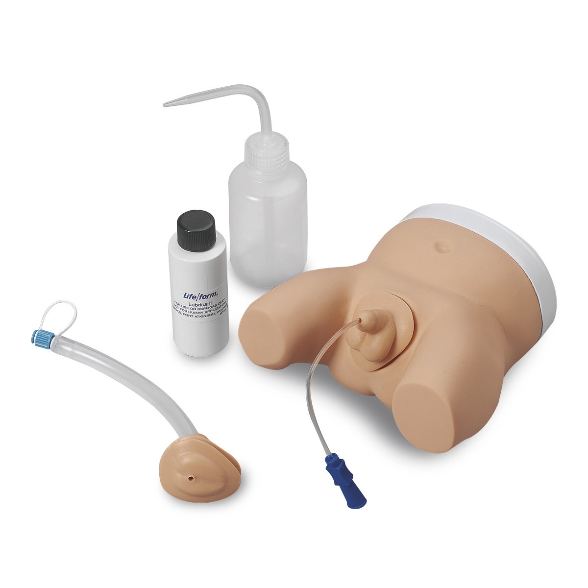 LF01035-Life/form® Infant Male and Female Catheterization Trainer