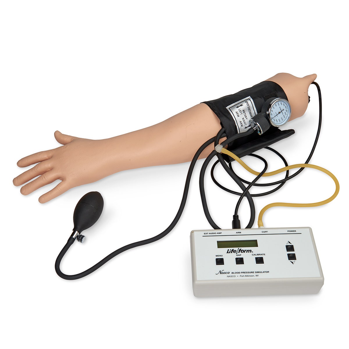 LF01095-Life/form® Blood Pressure Simulator