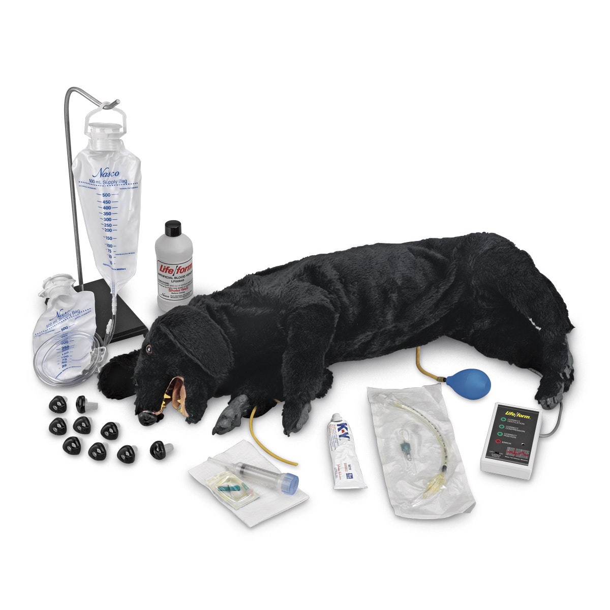 LF01155-Life/form® Advanced Sanitary CPR Dog