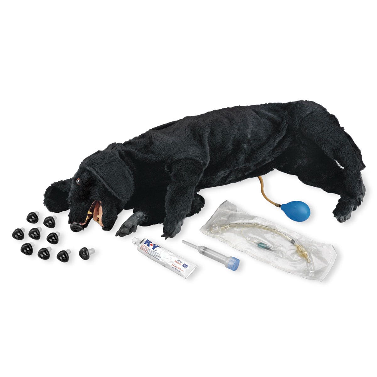 LF01156-Life/form® Basic Sanitary CPR Dog