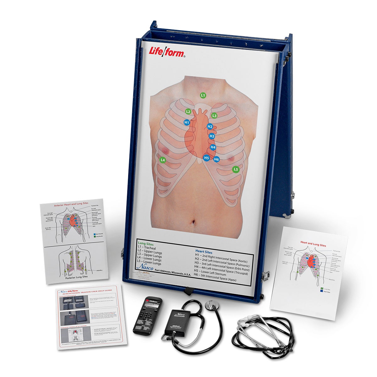 LF01192-Life/form® Anterior Auscultation Practice Board with Case and SmartScope