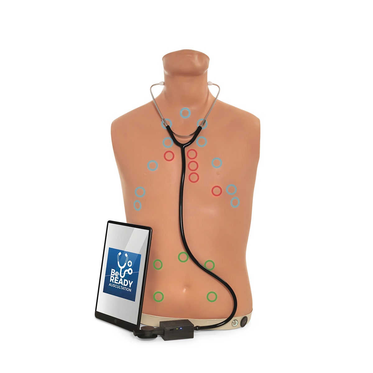 X0000LF01290-Auscultation Trainer 2.0