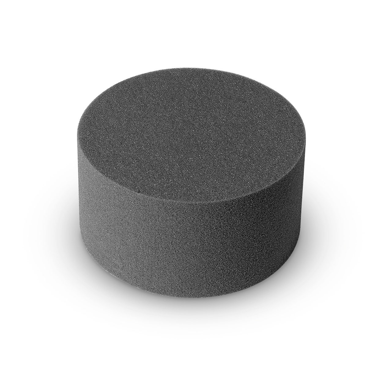 LF03677-Life/form® Basic Buddy® CPR Manikin - Foam Cylinder Replacement