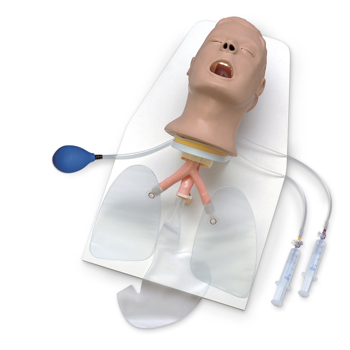 LF03685-Life/form® Advanced Airway Larry Trainer Head with Stand