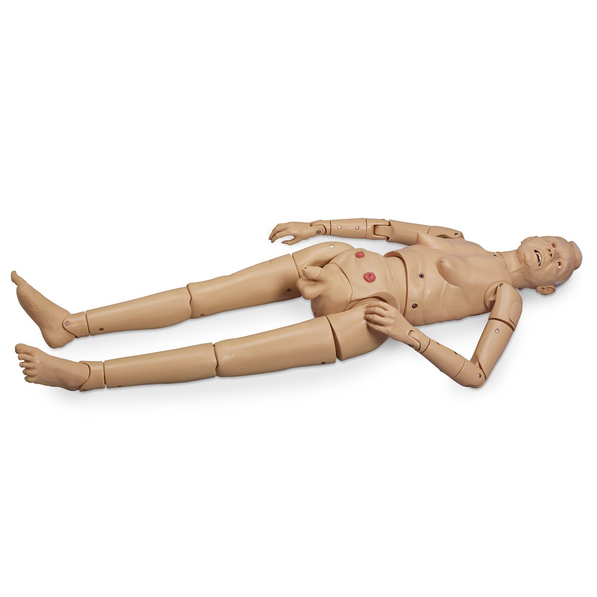 X0000LF04040-Basic GERi™ Manikin