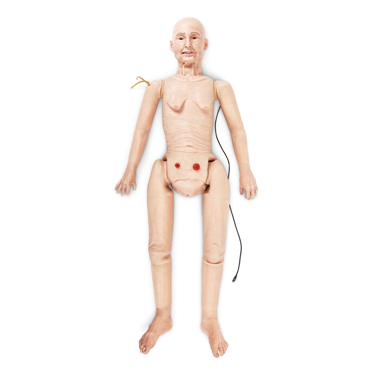 X0000LF04350-TERi™ Androgynous Geriatric Patient Care Trainer with Chest Compression