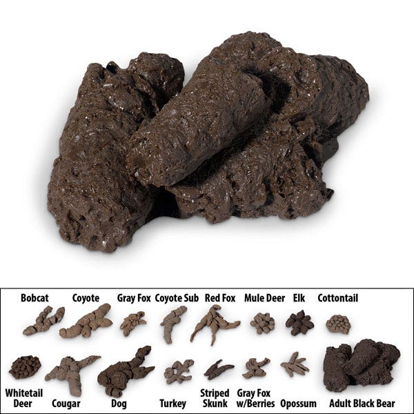 X0000LF05123-Nasco Scat Replicas