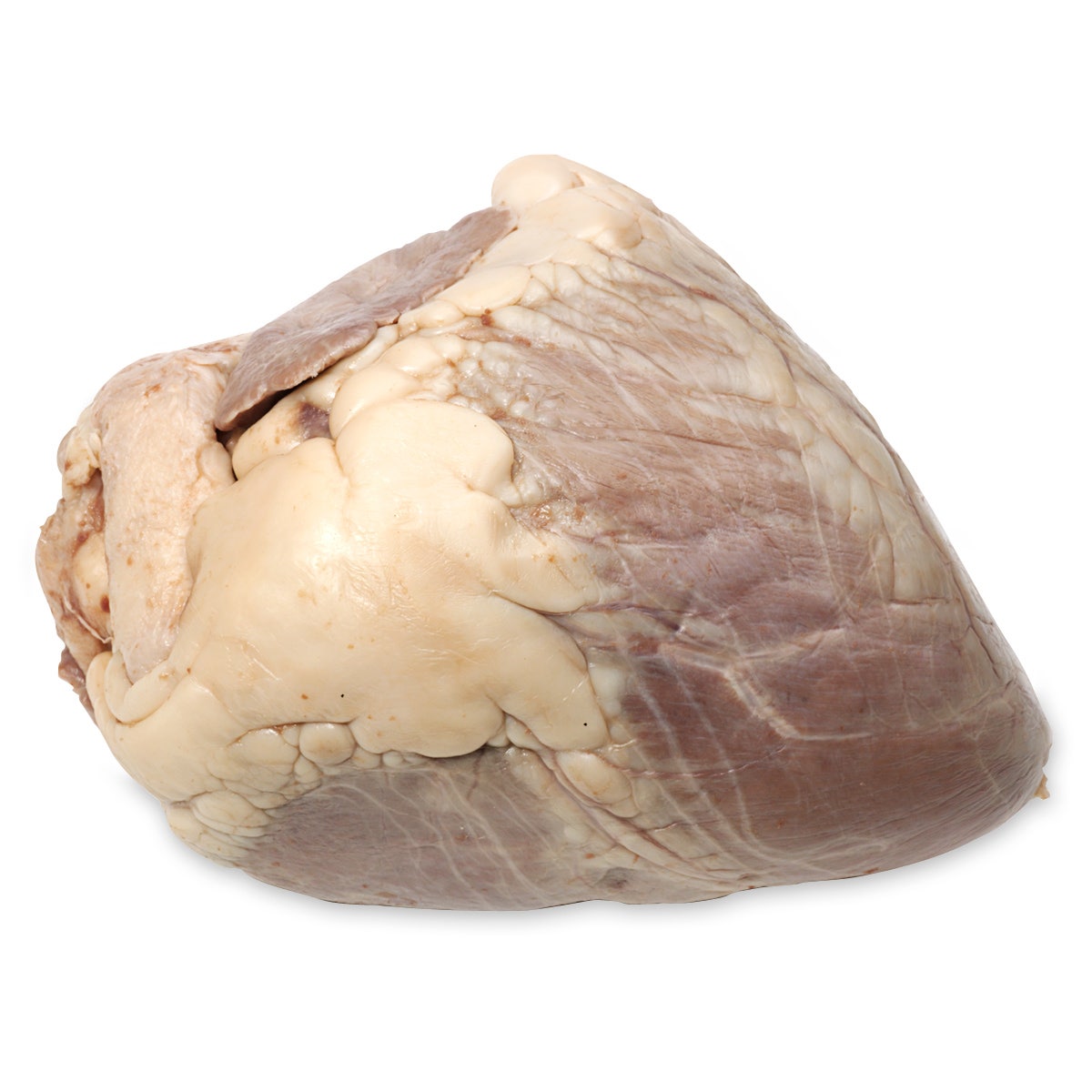 LS01630-NASCOGuard®, Cow Organ - Heart, Calf, Preserved