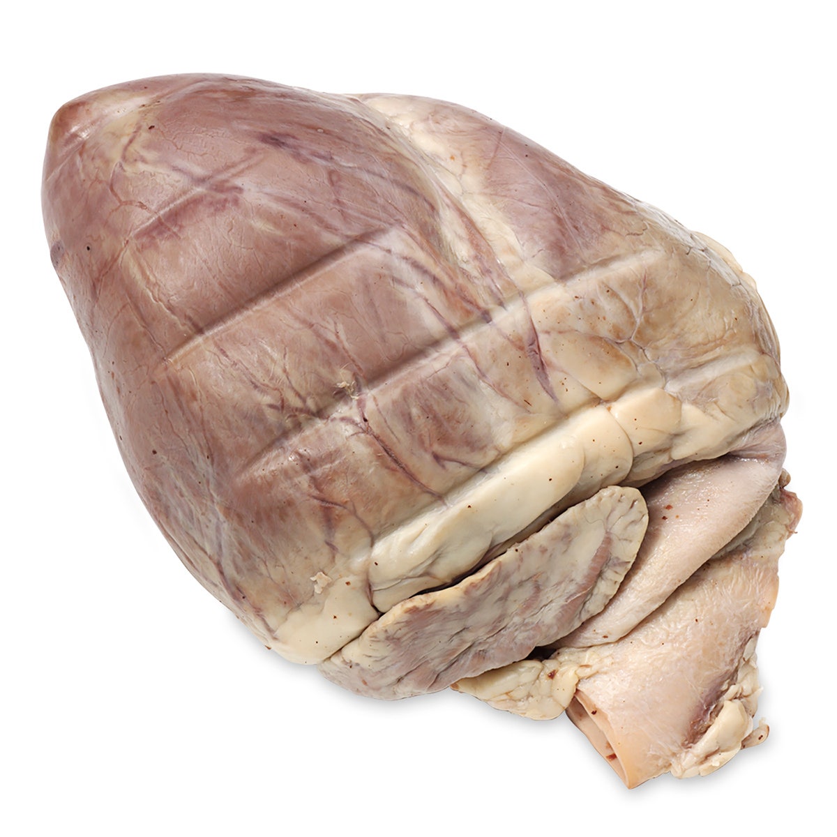 X0000LS02530-Pig Heart, Preserved