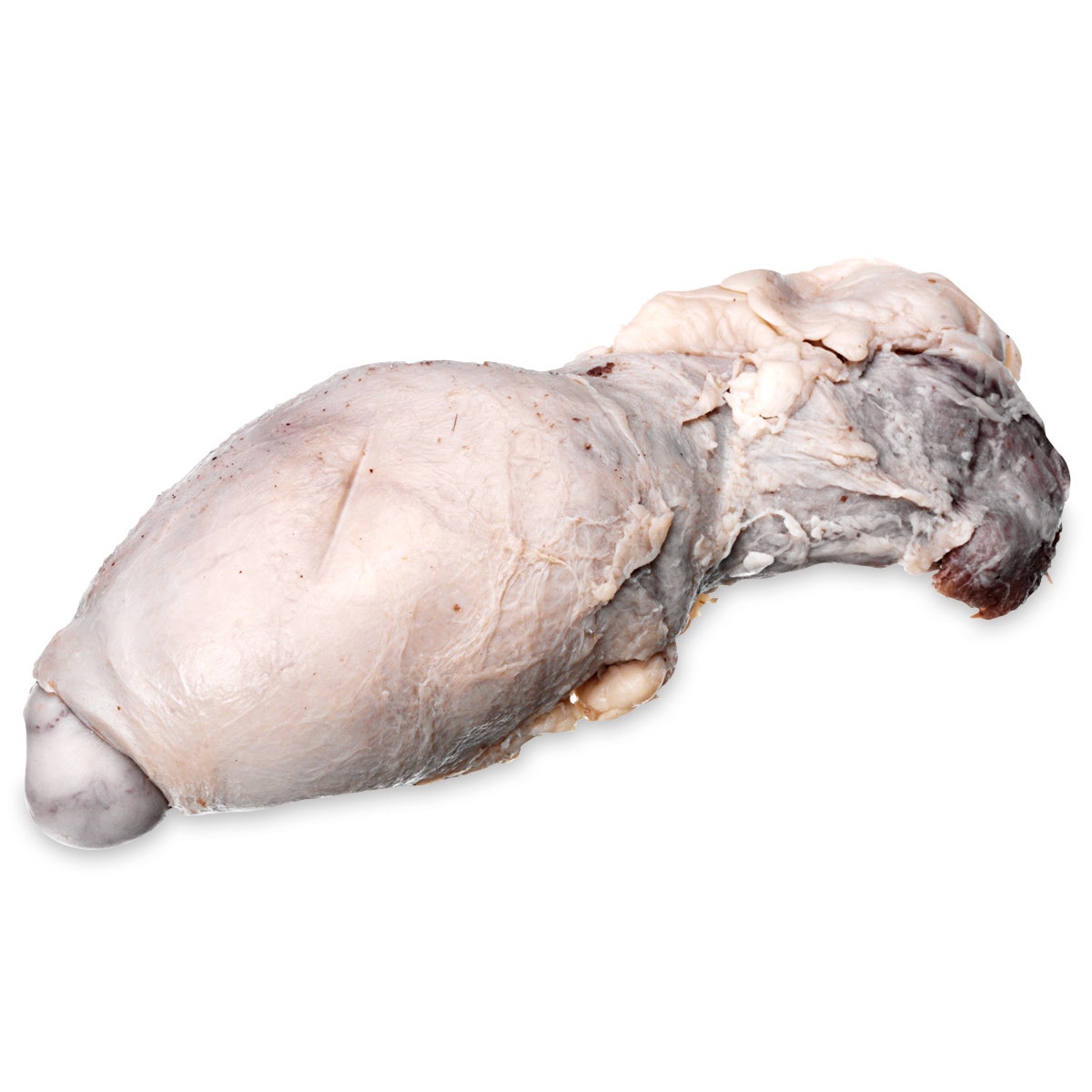 LS03494-NASCOGuard®, Sheep Organ - Testicle, Preserved