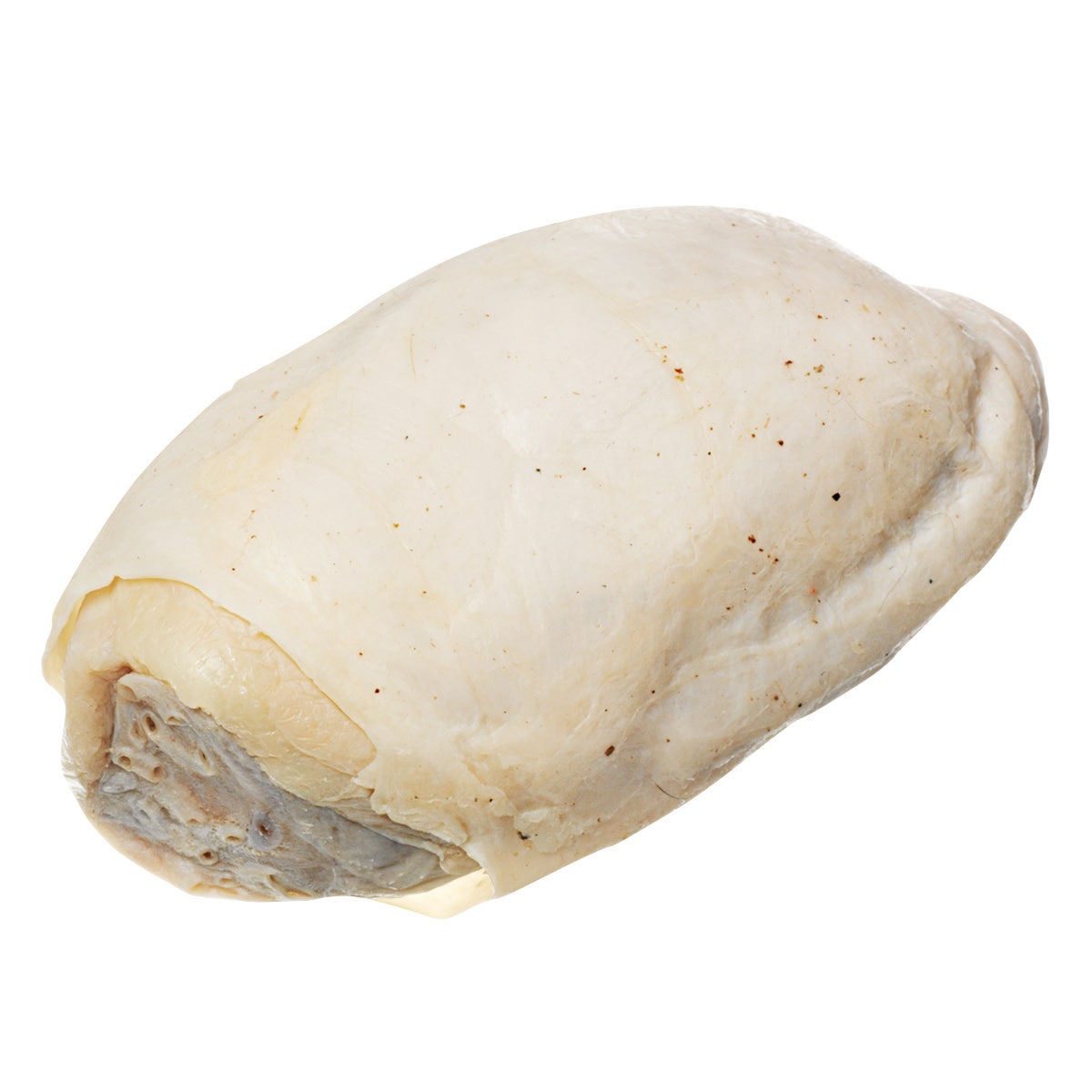 LS03532-NASCOGuard®, Bovine Organ - Testicles, Preserved