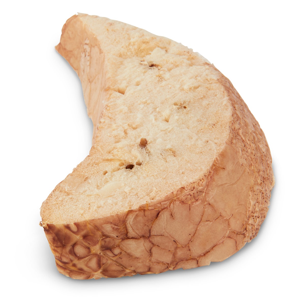LS03686-Nasco Dried Lung Section