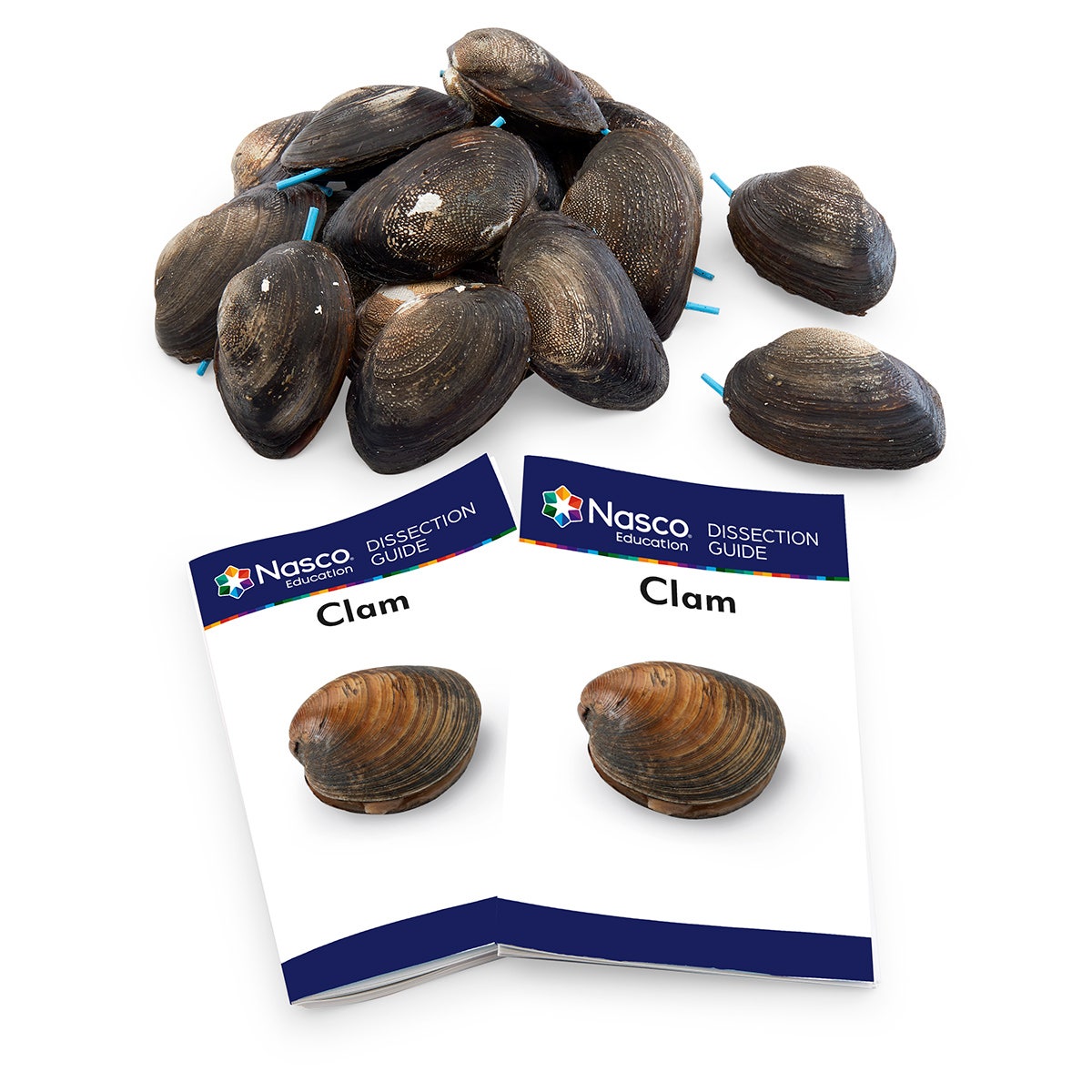 LS03718-NASCOGuard®, Clam Classroom Pack Special, Preserved