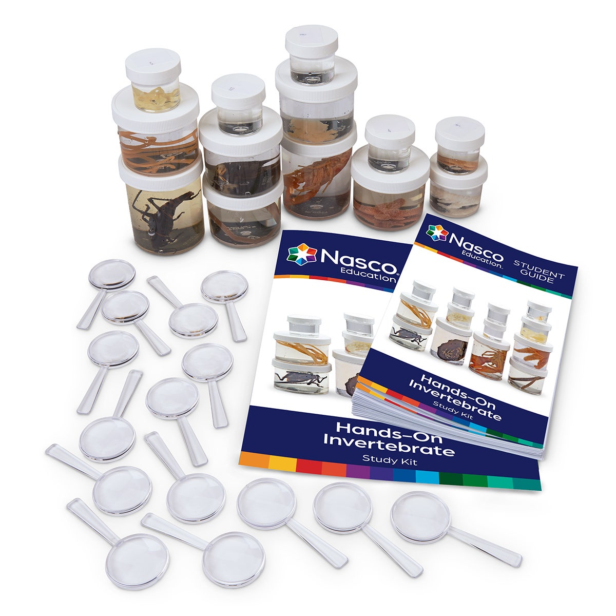 LS03736-Nasco-Guard, BioQuest® Hands-On Invertebrate Study Kit, Preserved