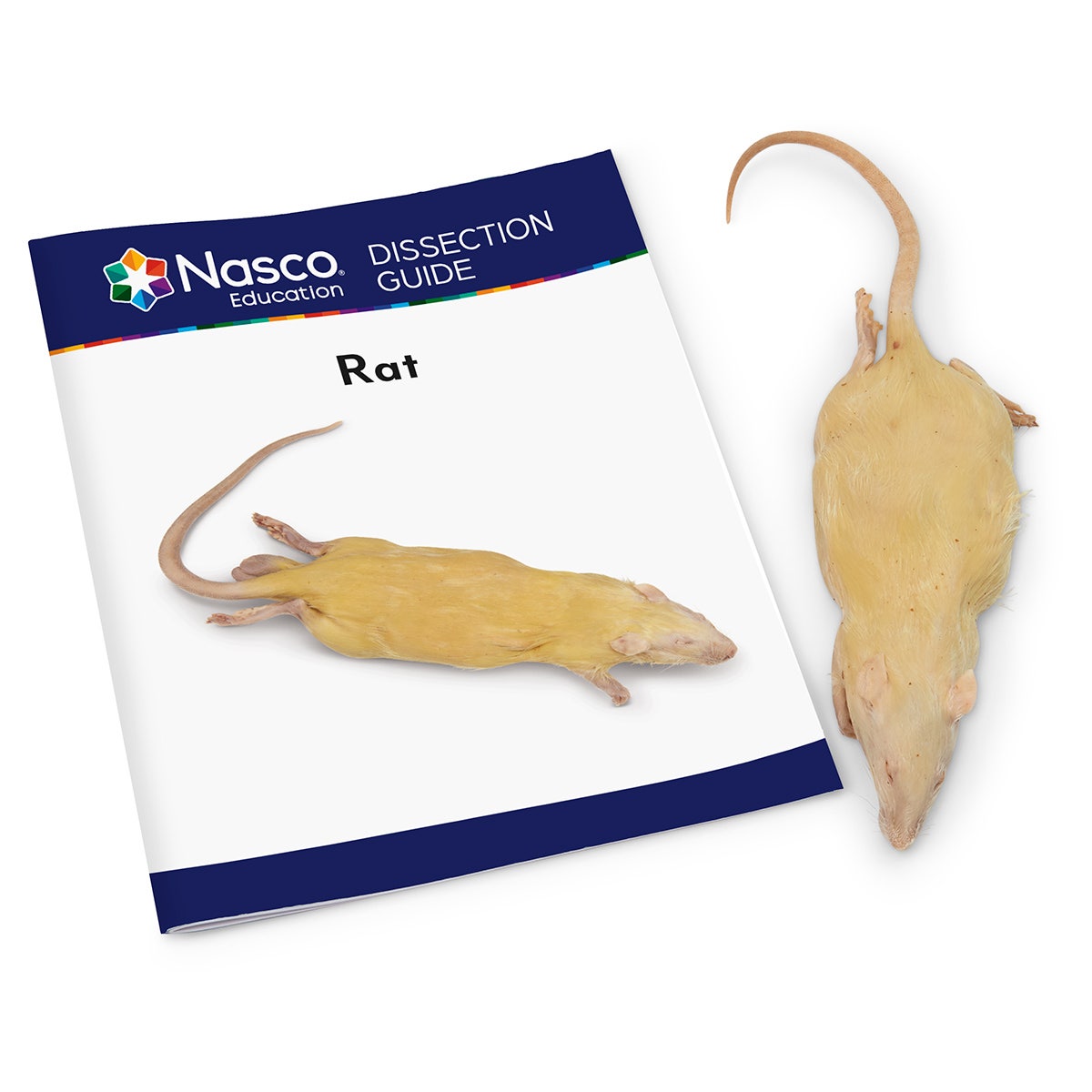 LS03763-NASCOGuard®, Rat Classroom Pack, Preserved